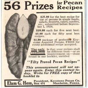 Prizes for Pecan Recipes Elam G. Hess Keystone Pecan Co Manheim 1924 Ad AF7-SS4